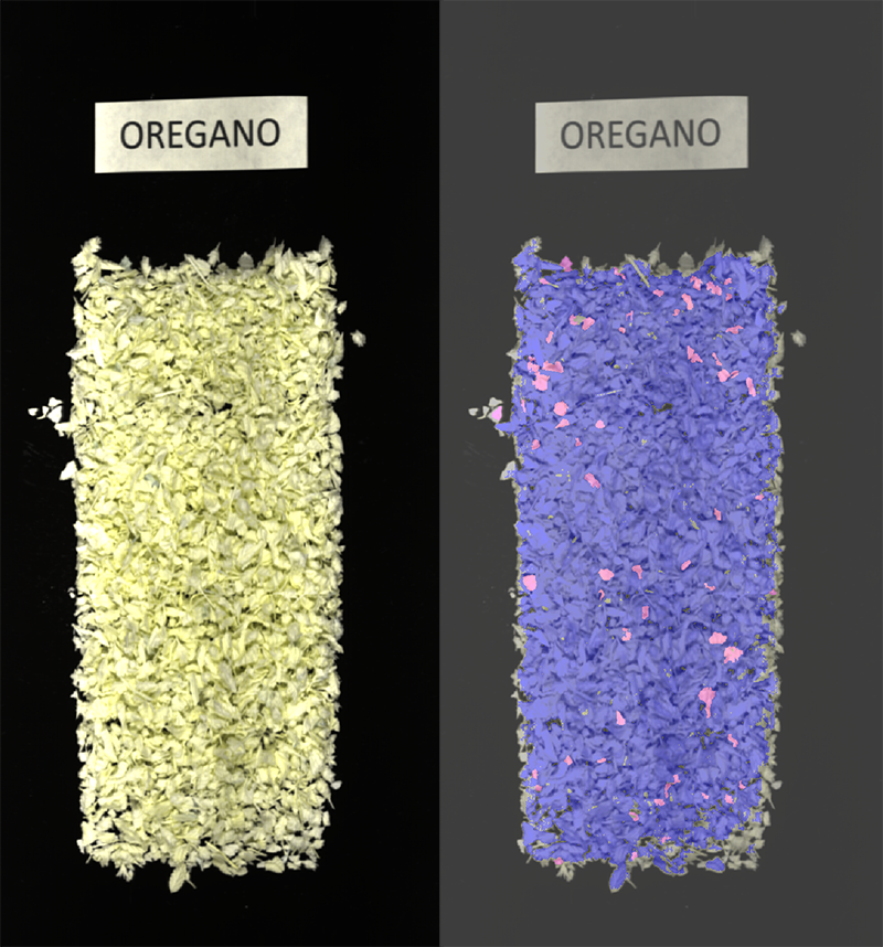 A side-by-side comparison of an RGB image of oregano, next to a hyperspectral false-color image of the same oregano.